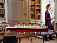 Titanic 10294 (9090+pcs)
